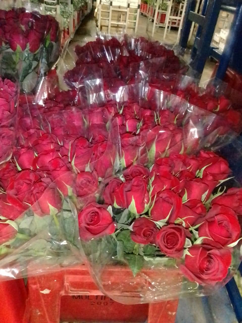 Red rose bouquet for birthday delivery