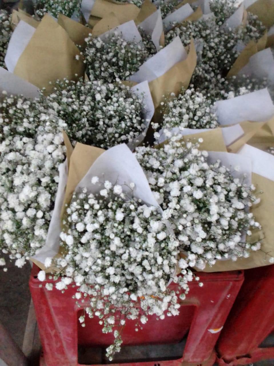 Online Flower Shop Add Something