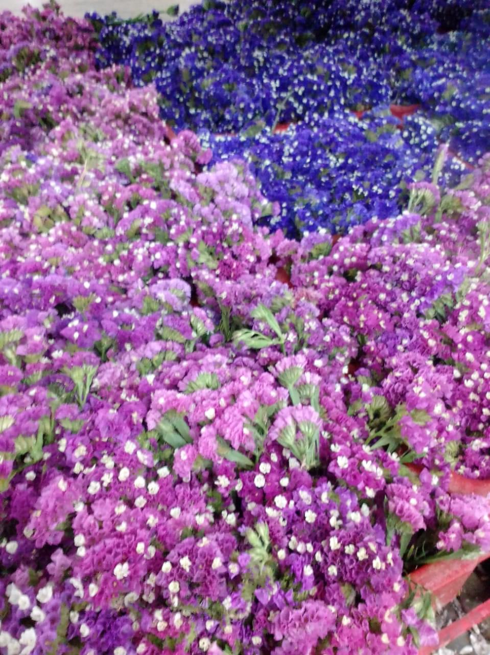 Online Flower Shop Add Something