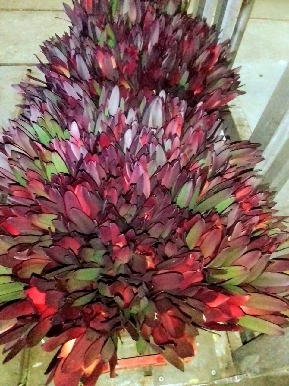 Online Flower Shop Add Something